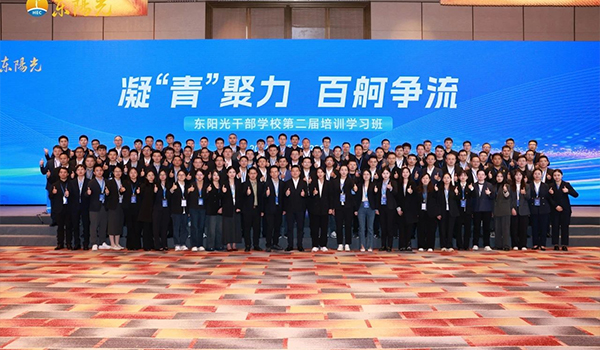 凝“青”聚力，百舸争流 | 开云 干部学校2024年第二届培训学习班圆满结束